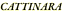 CATTINARA