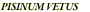 PISINUM VETUS