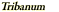 Tribanum 