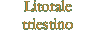 Litorale